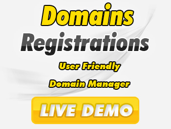 Economical domain name service providers